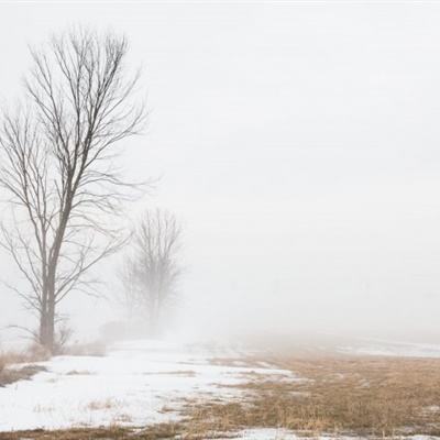 免费竞彩足球推荐app